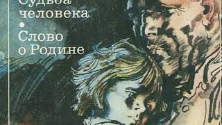 Кракен сайт для наркоманов