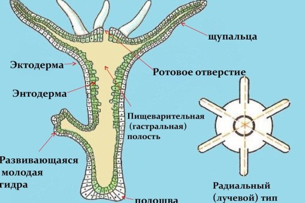 Кракен kr2web in магазин