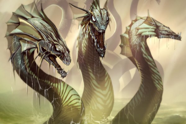 Kraken рабочий